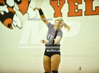 Thumbnail 2 in Horn @ Rockwall photogallery.