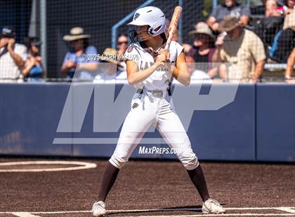 Thumbnail 1 in Saint Francis vs Willow Glen (CIF CCS Open Division Final) photogallery.