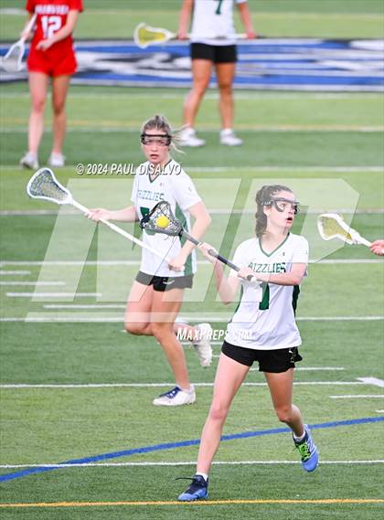 Thumbnail 3 in Fairview vs. ThunderRidge (CHSAA 5A Semi-Final) photogallery.