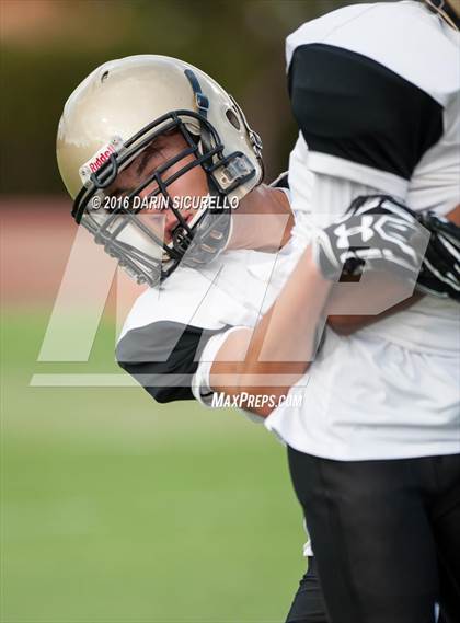 Thumbnail 1 in Basha @ Chandler photogallery.