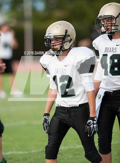 Thumbnail 2 in Basha @ Chandler photogallery.