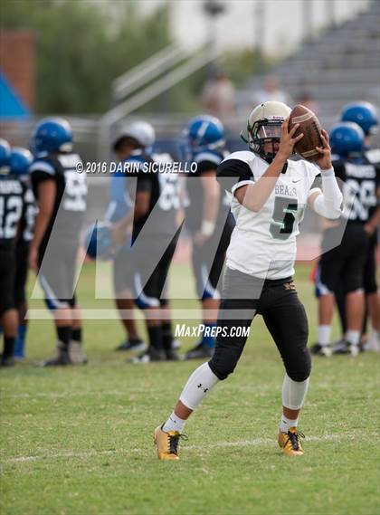 Thumbnail 2 in Basha @ Chandler photogallery.