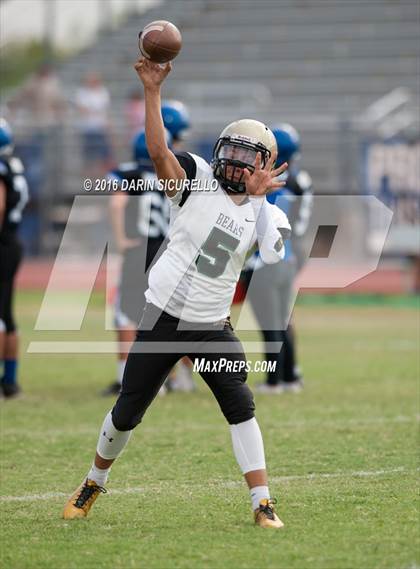 Thumbnail 1 in Basha @ Chandler photogallery.