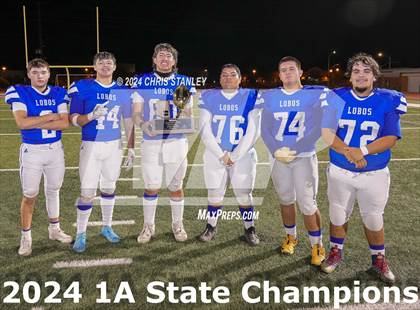 Thumbnail 1 in Hayden vs. Bagdad (AIA-1A Awards) photogallery.