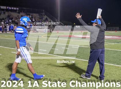 Thumbnail 2 in Hayden vs. Bagdad (AIA-1A Awards) photogallery.