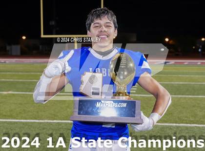 Thumbnail 3 in Hayden vs. Bagdad (AIA-1A Awards) photogallery.