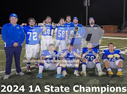 Thumbnail 3 in Hayden vs. Bagdad (AIA-1A Awards) photogallery.