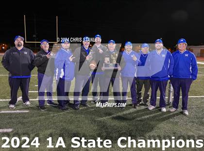 Thumbnail 2 in Hayden vs. Bagdad (AIA-1A Awards) photogallery.