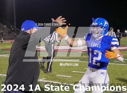 Thumbnail 2 in Hayden vs. Bagdad (AIA-1A Awards) photogallery.