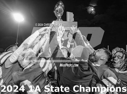 Thumbnail 3 in Hayden vs. Bagdad (AIA-1A Awards) photogallery.
