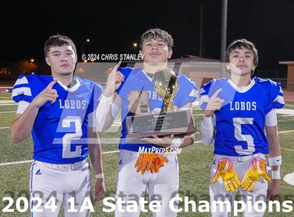 Thumbnail 1 in Hayden vs. Bagdad (AIA-1A Awards) photogallery.