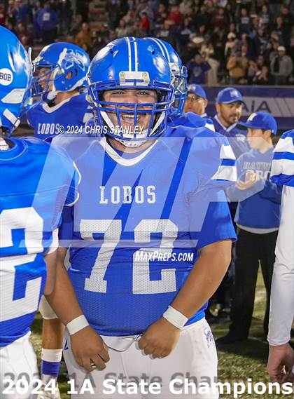 Thumbnail 3 in Hayden vs. Bagdad (AIA-1A Awards) photogallery.