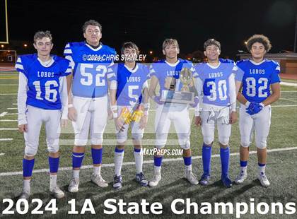 Thumbnail 2 in Hayden vs. Bagdad (AIA-1A Awards) photogallery.