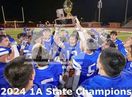 Thumbnail 3 in Hayden vs. Bagdad (AIA-1A Awards) photogallery.
