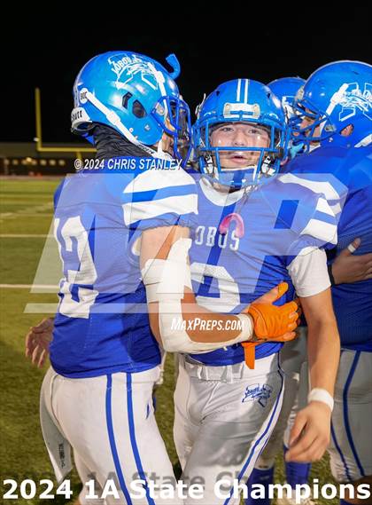Thumbnail 3 in Hayden vs. Bagdad (AIA-1A Awards) photogallery.