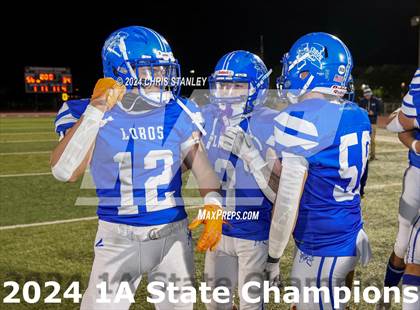 Thumbnail 1 in Hayden vs. Bagdad (AIA-1A Awards) photogallery.