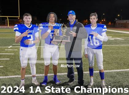 Thumbnail 3 in Hayden vs. Bagdad (AIA-1A Awards) photogallery.