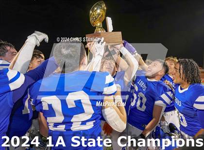 Thumbnail 3 in Hayden vs. Bagdad (AIA-1A Awards) photogallery.