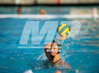 Thumbnail 3 in Archbishop Mitty @ Palo Alto photogallery.