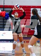 Photo from the gallery "St. John Paul II Academy @ Chaminade-Madonna"