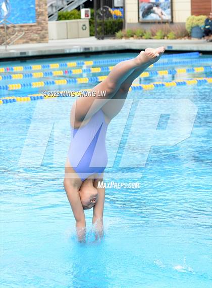 Thumbnail 1 in CIF SS D2 Diving Final photogallery.