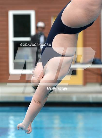 Thumbnail 1 in CIF SS D2 Diving Final photogallery.