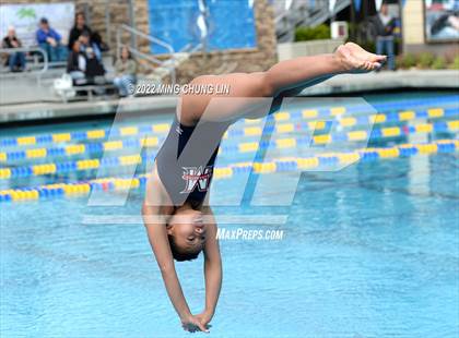 Thumbnail 3 in CIF SS D2 Diving Final photogallery.