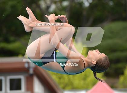 Thumbnail 1 in CIF SS D2 Diving Final photogallery.