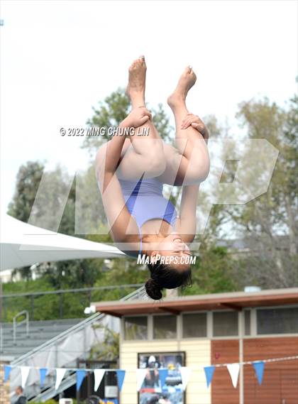 Thumbnail 1 in CIF SS D2 Diving Final photogallery.