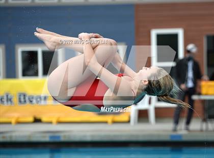 Thumbnail 1 in CIF SS D2 Diving Final photogallery.