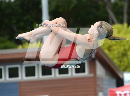 Thumbnail 1 in CIF SS D2 Diving Final photogallery.