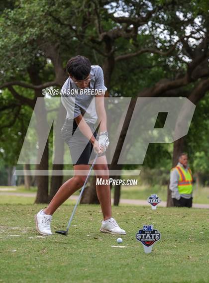 Thumbnail 1 in UIL 5A Boys Golf Finals photogallery.