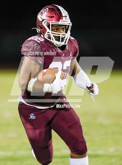 Thumbnail 3 in Manatee @ Braden River photogallery.