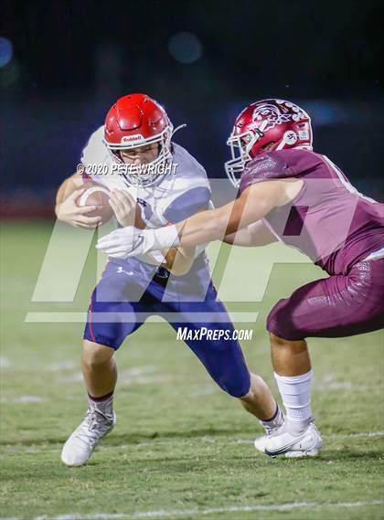 Thumbnail 2 in Manatee @ Braden River photogallery.