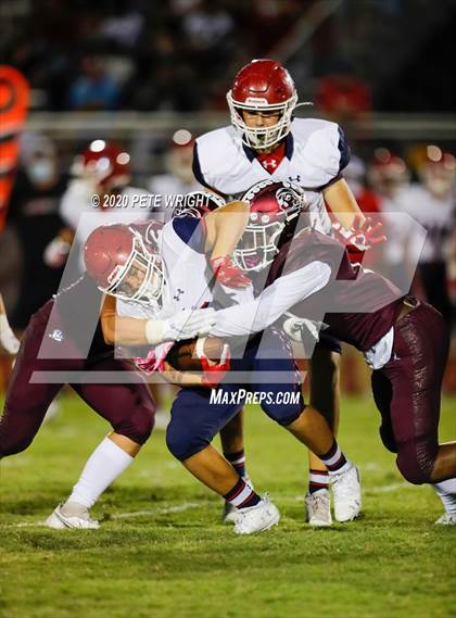 Thumbnail 1 in Manatee @ Braden River photogallery.