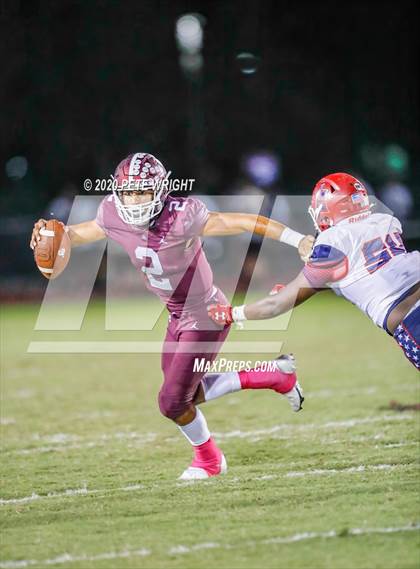 Thumbnail 2 in Manatee @ Braden River photogallery.