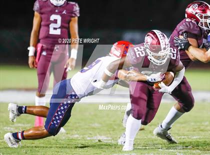 Thumbnail 1 in Manatee @ Braden River photogallery.