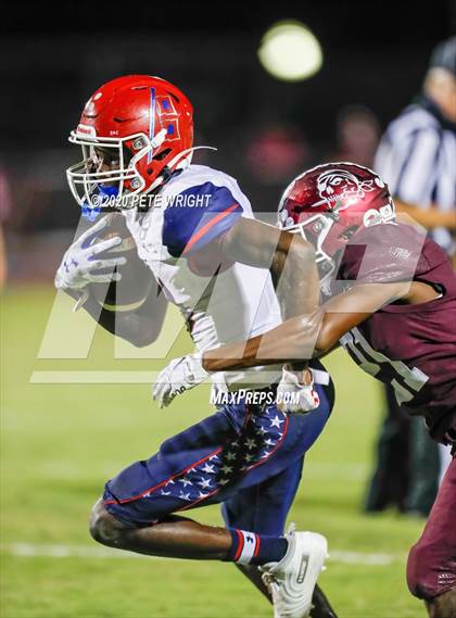 Thumbnail 1 in Manatee @ Braden River photogallery.