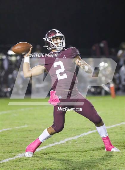 Thumbnail 1 in Manatee @ Braden River photogallery.