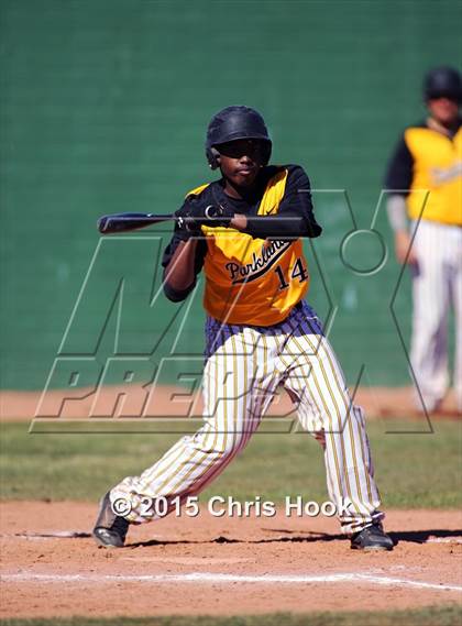 Thumbnail 1 in Snowflake vs. Parkland (Panther Invitational) photogallery.
