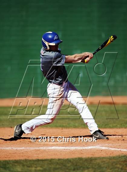 Thumbnail 1 in Snowflake vs. Parkland (Panther Invitational) photogallery.