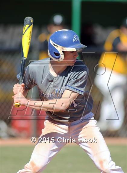 Thumbnail 1 in Snowflake vs. Parkland (Panther Invitational) photogallery.
