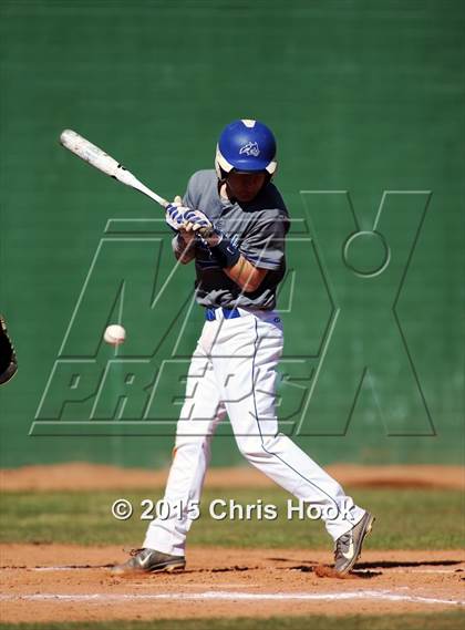 Thumbnail 3 in Snowflake vs. Parkland (Panther Invitational) photogallery.