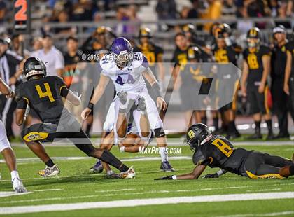 Thumbnail 1 in Warren vs Brennan photogallery.