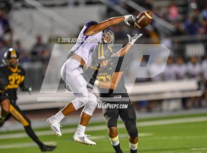 Thumbnail 2 in Warren vs Brennan photogallery.