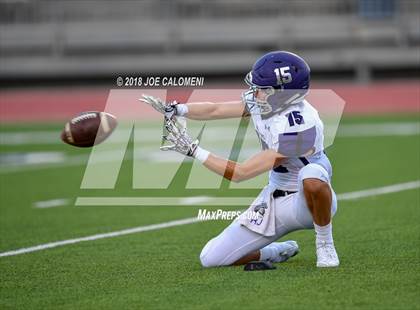Thumbnail 1 in Warren vs Brennan photogallery.