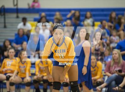 Thumbnail 2 in Klein Collins @ Klein photogallery.