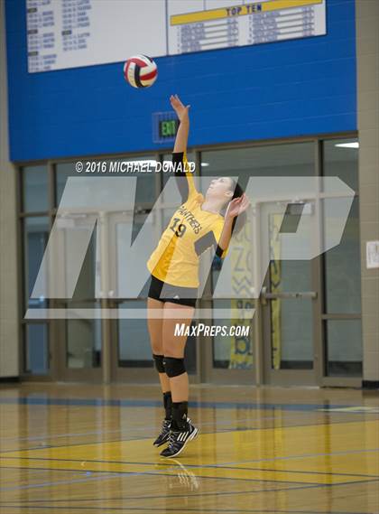 Thumbnail 3 in Klein Collins @ Klein photogallery.
