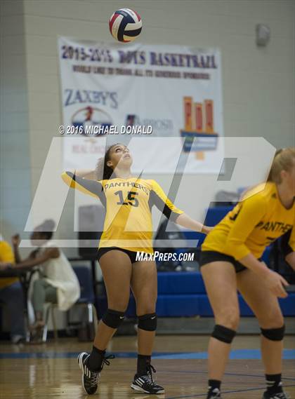 Thumbnail 3 in Klein Collins @ Klein photogallery.