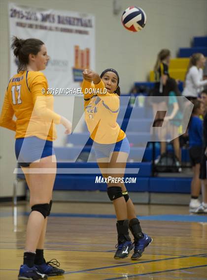 Thumbnail 3 in Klein Collins @ Klein photogallery.